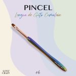 PINCEL LENGUA DE GATO CAMALEON 4 Y 6-06