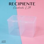 RECIPIENTE CUADRADO TRANSPARENTE L29-01